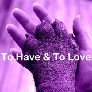 Meet your Posher, Tami